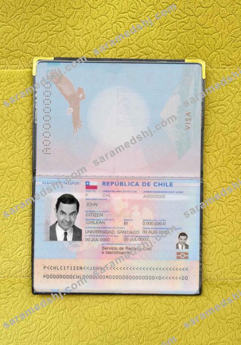 Chile passport photo look